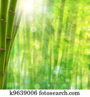 Bamboo forest. Abstract summer backgrounds with bright sun and beauty bokeh Bamboo forest. Abstract summer backgrounds with bright sun and beauty bokeh