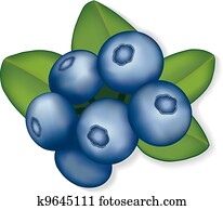Blueberries Blueberries