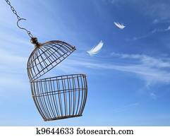 Freedom concept. Escaping from the cage