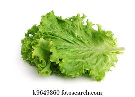 Lettuce Lettuce