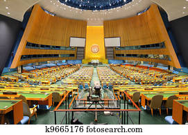 United Nations General Assembly