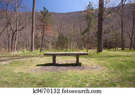 Bench Of Tranquility