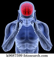 brain brain