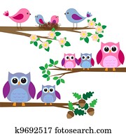 corujas, e, pássaros