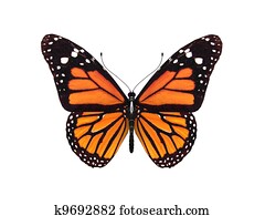 digital render of a monarch butterfly digital render of a monarch butterfly