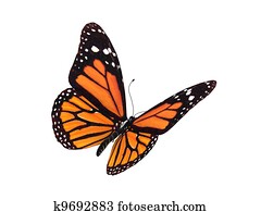 digital render of a monarch butterfly digital render of a monarch butterfly