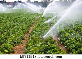 Agriculture water spray Agriculture water spray