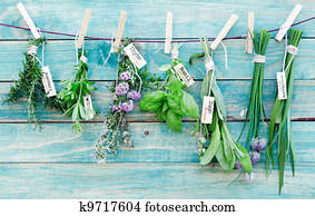 Hanging Herbs Hanging Herbs