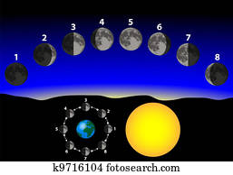 phases of the moon phases of the moon
