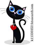 a black cat a black cat