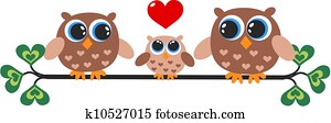 a cute little owl family