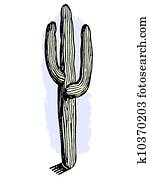 A vintage cactus A vintage cactus