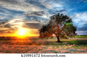 a, שקיעה, ב, a, טקסס, חוה