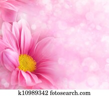 Abstract floral backgrounds for your design Abstract floral backgrounds for your design