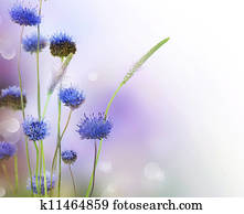 Abstract Flowers Border Design Abstract Flowers Border Design