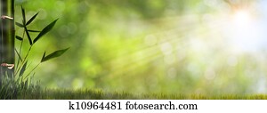 Abstract misty natural backgrounds with bamboo foliage Abstract misty natural backgrounds with bamboo foliage