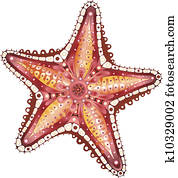 Abstract Starfish Abstract Starfish