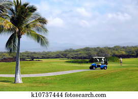 Active During Retirement