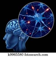 Active Human Neurons