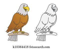 adler adler