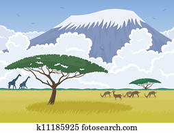 Africa Africa