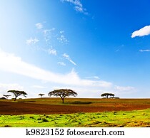 Africa Africa