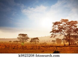 africano, paisagem