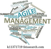 Agile management Agile management
