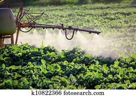 Agriculture Agriculture