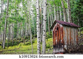 antigas, outhouse, em, floresta álamo tremedor