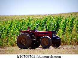 antigas, trator, em, cornfield