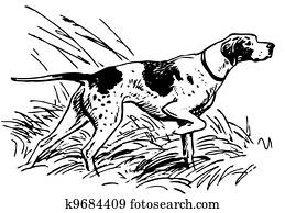 apontar, cão