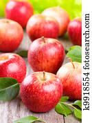 apples with leaves apples with leaves
