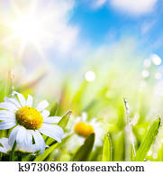 arte, abstratos, fundo, verão, flor, em, capim, com, gotas água