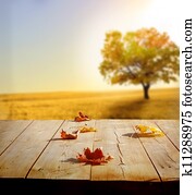autumn background autumn background
