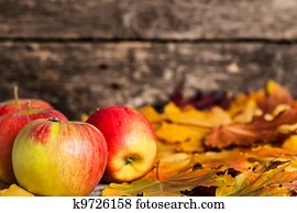 Autumn border from apples and maple leaves Autumn border from apples and maple leaves