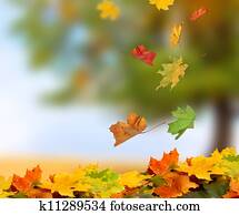 autumn leaves autumn leaves