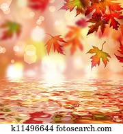 Autumn Autumn