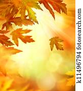 Autumn Autumn