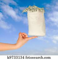 Bag with money