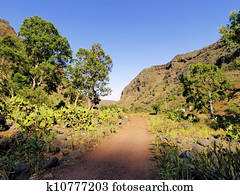 Barranco de Guayadeque, Gully on Gran Canaria, Canary Islands, Spain