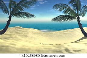 Beach Beach