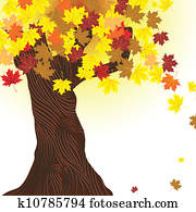 Beautiful autumn tree. Beautiful autumn tree.