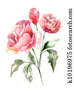Beautiful flowers Beautiful flowers