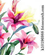 Beautiful Lily flowers Beautiful Lily flowers