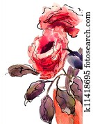 Beautiful Roses flowers