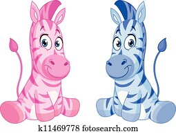 bebê, zebras