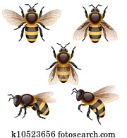 bee bee