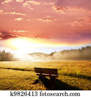 Bench Bench