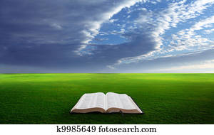 bibel öffnen, in, field.